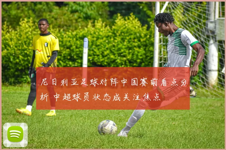 尼日利亚足球对阵中国赛前看点分析 中超球员状态成关注焦点